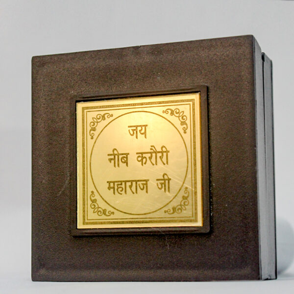 Neem Karoli Maharaj Swaroop Wooden Gold Plated - Image 2