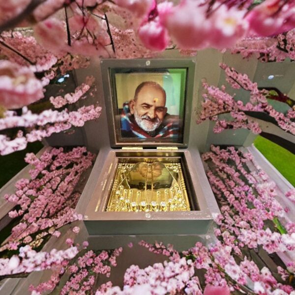 Neem Karoli Maharaj Swaroop Wooden Gold Plated - Image 5