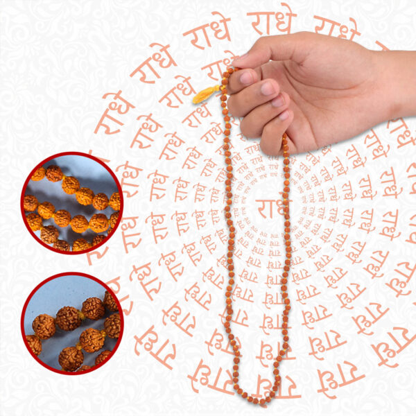 Panchmukhi Rudraksha Jaap Mala (110+1 Beads) - Image 3