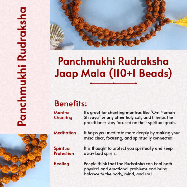 Panchmukhi Rudraksha Jaap Mala (110+1 Beads) - Image 4