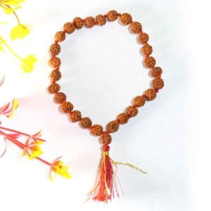 Rudraksha Bracelet with Natural Dark Brown Beads