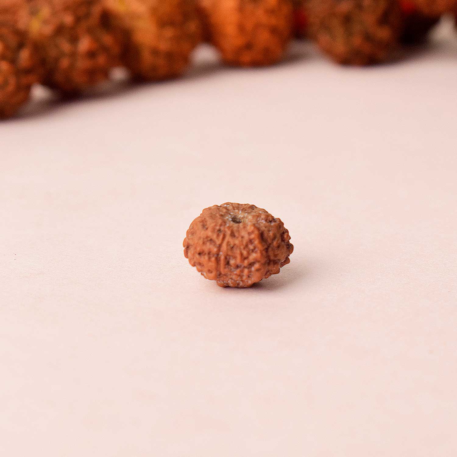 Certified 11 Mukhi Natural Rudraksha Bead (Nepali) - Image 3