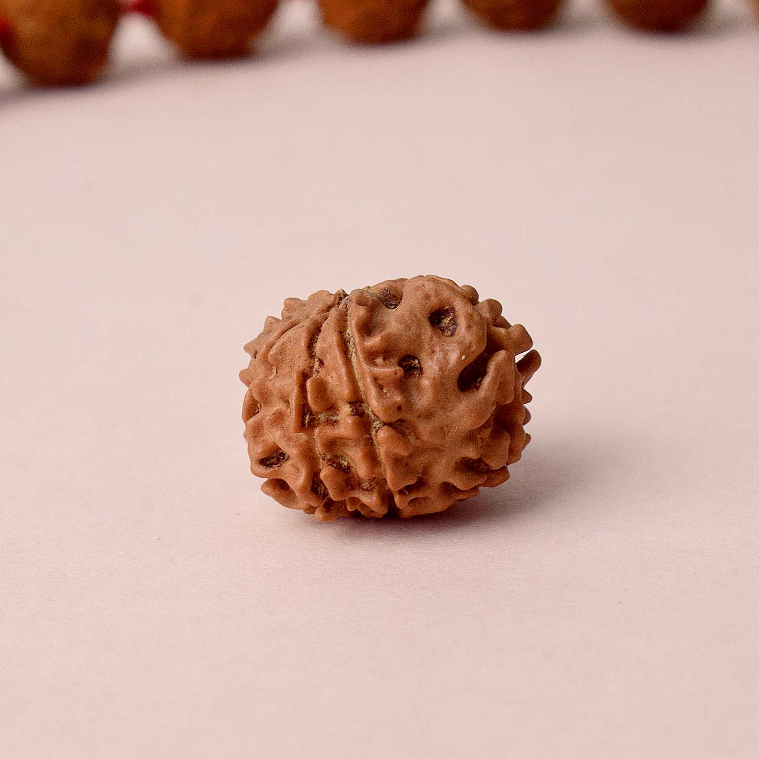 Certified 8 Mukhi Natural Rudraksha Bead (Nepal)