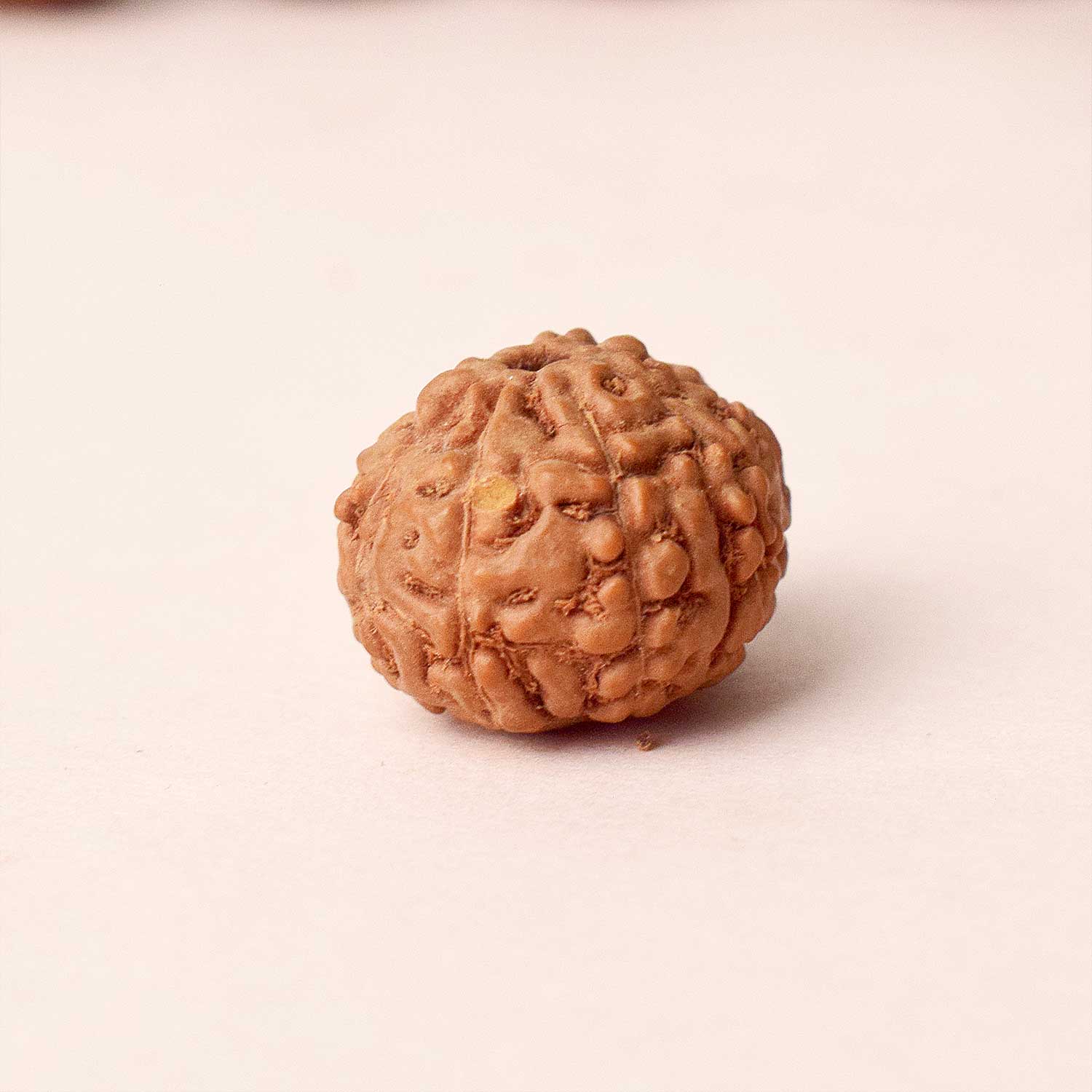 Certified 9 Mukhi Natural Rudraksha Bead (Nepal)