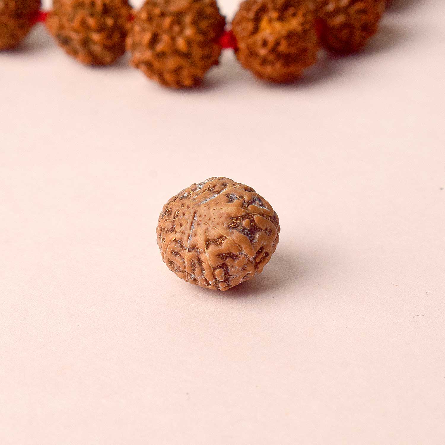 Certified 10 Mukhi Natural Rudraksha Bead (Nepali) - Image 4
