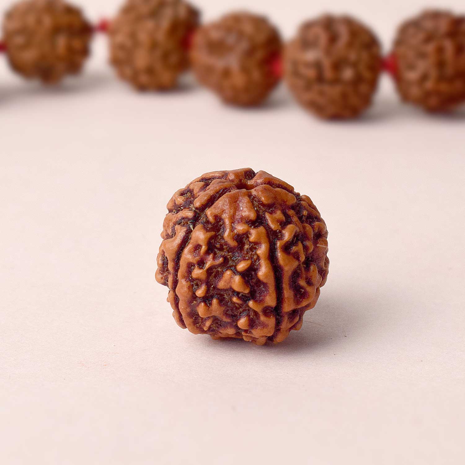 Certified 5 Mukhi Natural Rudraksha Bead (Nepali) - Image 4