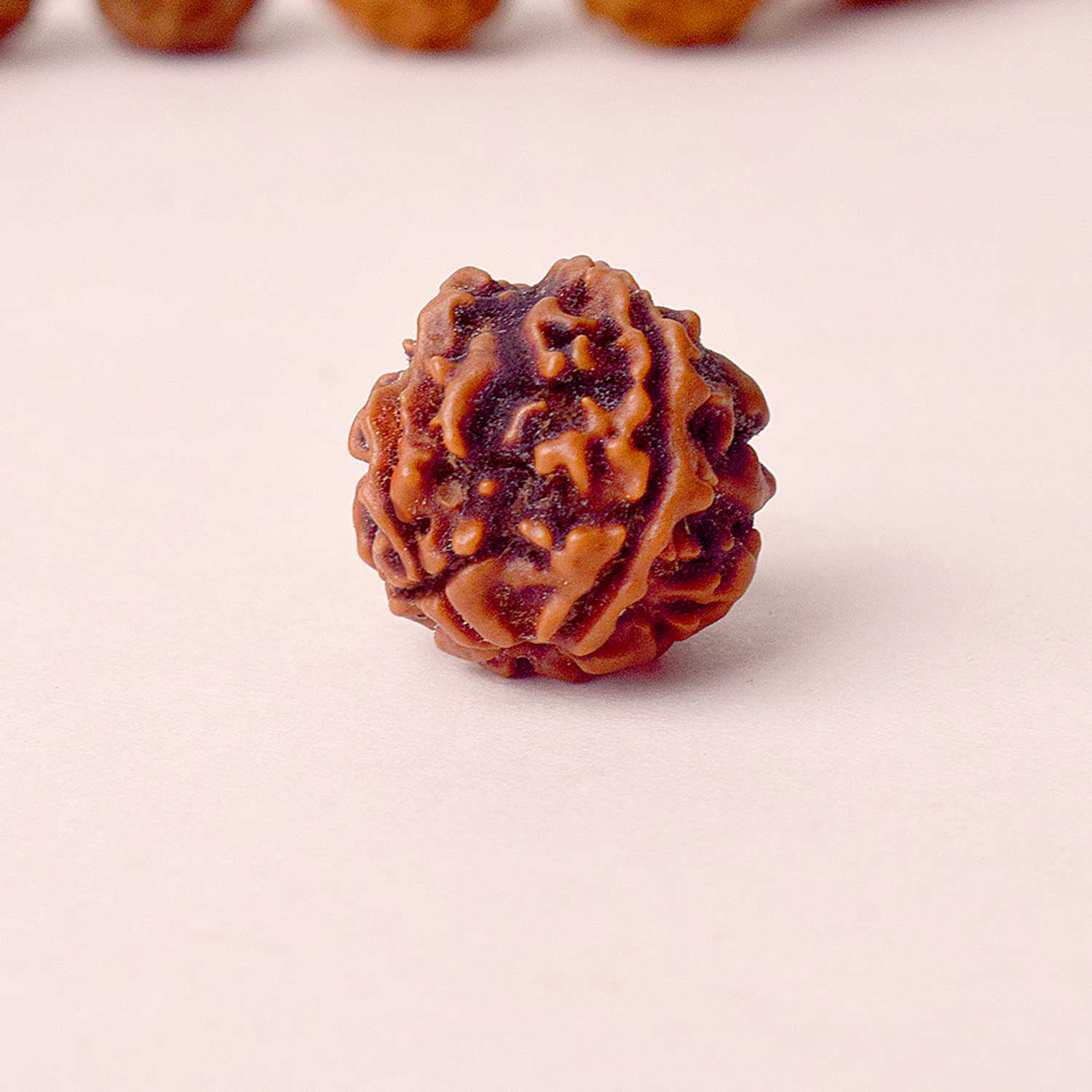 Certified 4 Mukhi Rudraksha Bead for (Nepali)